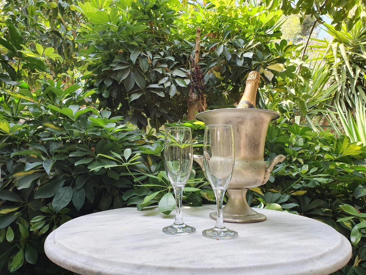 Orea Ellas Kos - Apartments & Bistro-Cafe Lagoudi Zia المظهر الخارجي الصورة